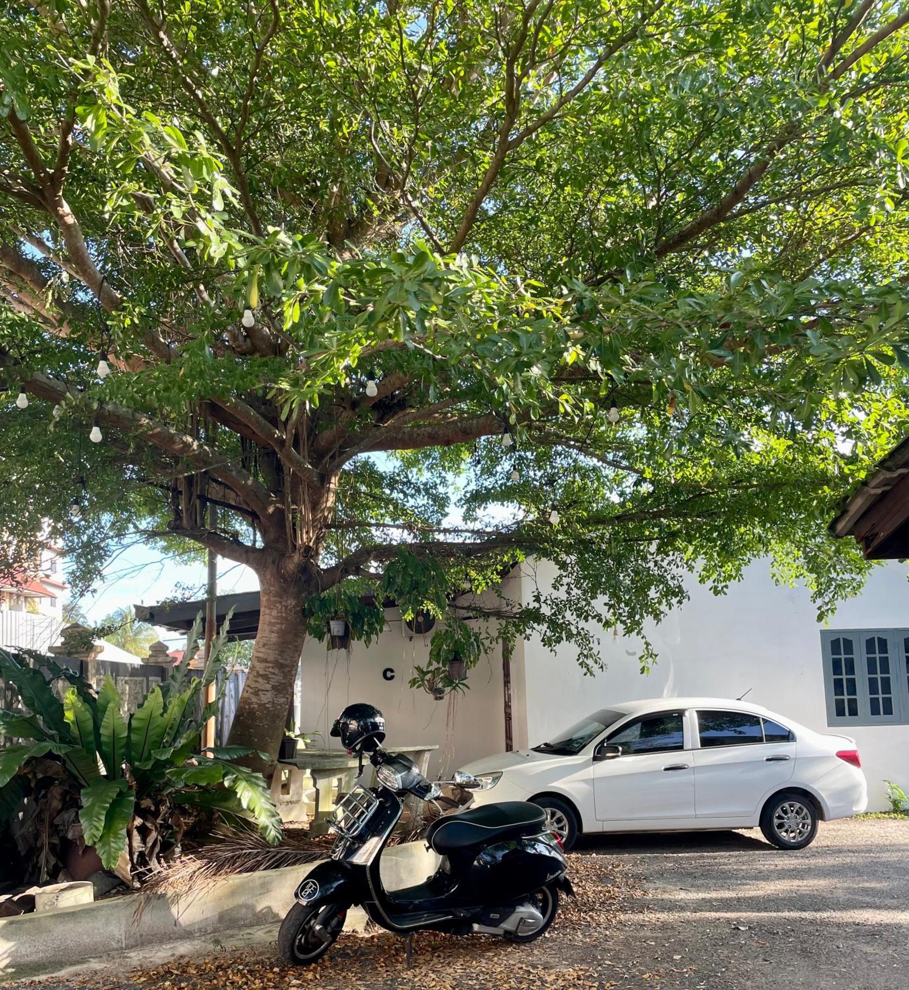 Hj Hassan Guest House- Studio Unit Kuala Terengganu Ngoại thất bức ảnh